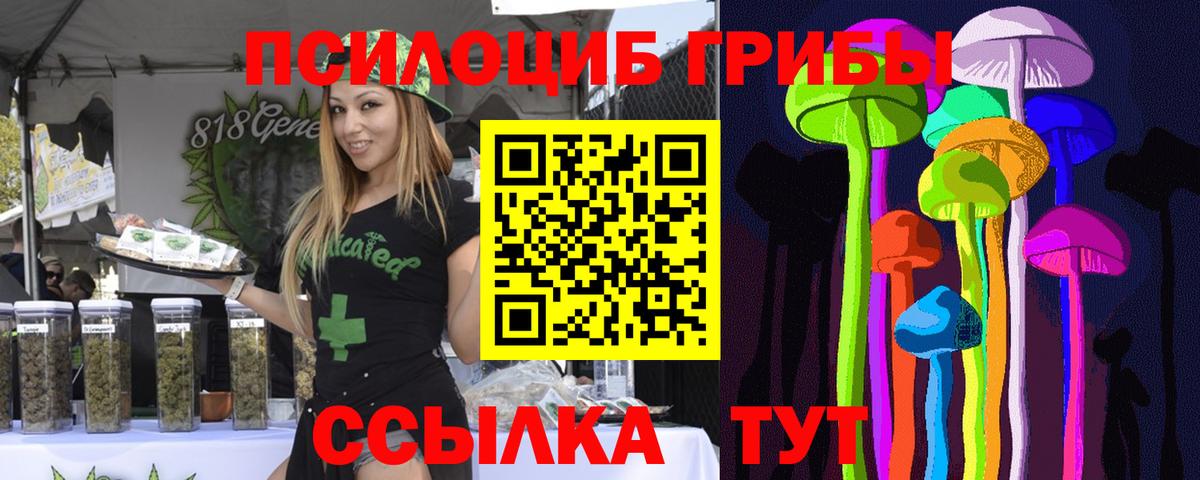 Псилоцибиновые грибы Psilocybe  Вход с VPN  Псилоцибиновые грибы MAGIC MUSHROOMS  Армавир 